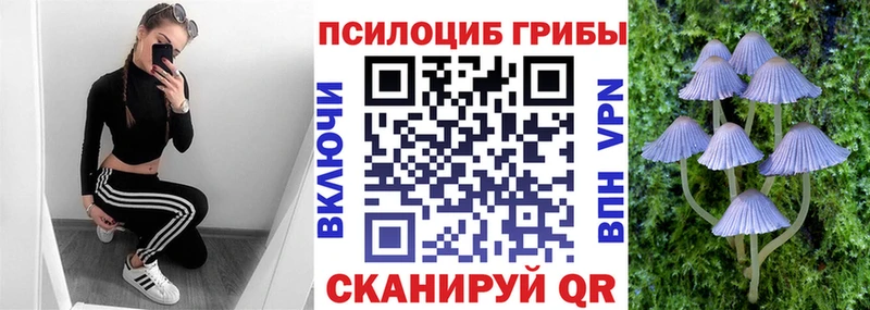 Галлюциногенные грибы Cubensis  наркошоп  mega зеркало  Ивдель 